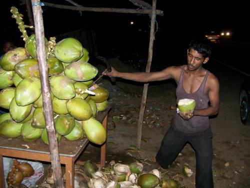 A Fresh Coconut (bangalore_100_1847.jpg) wird geladen. Eindrucksvolle Fotos von der indischen Halbinsel erwarten Sie.